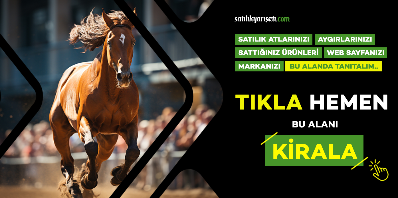 Satılık yarış atları